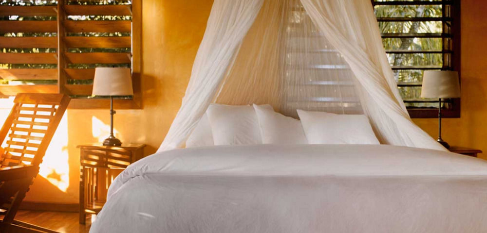 Gaia Riverlodge Unitedville 外观 照片